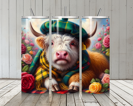 Highland Cow