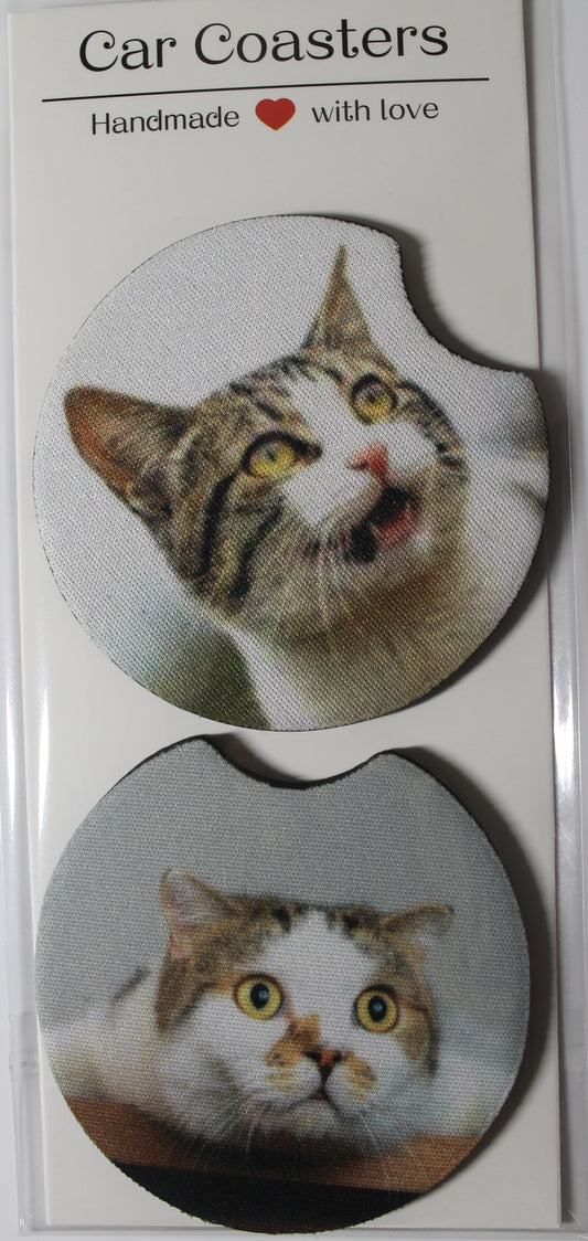 Cats