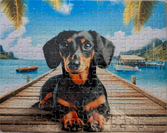 Dachshund