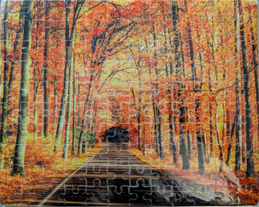 Tree Lined Road