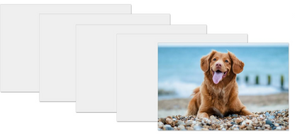 Photo Panels